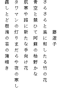 　　　　　藤遊子
さらさらと風に和したる竹の花
青空と競ひて阿蘇の枯野かな
肌寒や路に新たな手向け花
タワマンの灯りまだらや夜の寒し
露しとど樹海の苔の薄暗き